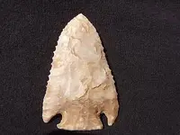 DSCF1609.webp