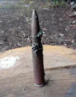 Bullet and Ring.webp