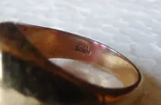 DSCF6477.webp