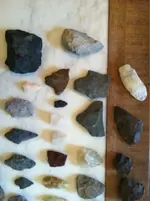 image-1866547637.webp
