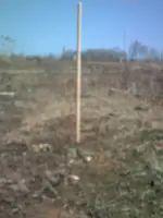 DSCF0152.webp