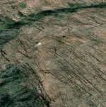 shellmidden.webp