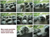 seashells_cementLG_1.webp