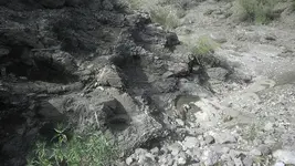 IMAG0739.webp IMAG0739.webp