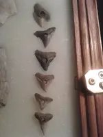 ForumRunner_20121212_005001.webp