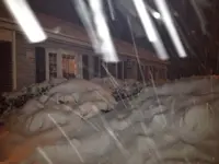 snow.webp