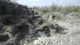 IMAG0740.webp IMAG0740.webp