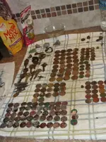 Beach finds 11 12 2012 001.webp
