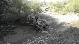 IMAG0750.webp IMAG0750.webp