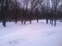 image-133419410.webp