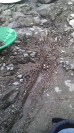IMAG0755.webp IMAG0755.webp