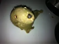 image-532153798.webp