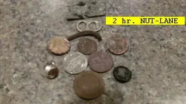 1204NUT.webp