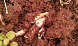 IMAG0204.webp