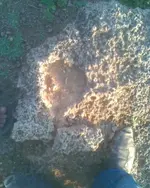 Photo006.webp Photo006.webp