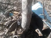 ForumRunner_20121222_141442.webp
