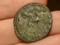 DSCF9747.webp
