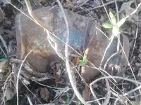 ForumRunner_20121222_141557.webp