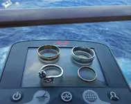 Caribbean gold. jpg.webp