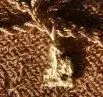 goldnug.webp