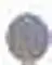 Copy of 188591594_Position12.webp