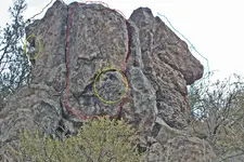 Horse2-Casca-adjusted and marked.webp