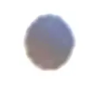 188591594_Position12.webp