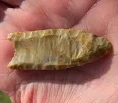 Ohio Paleo 007.webp