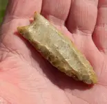 Ohio Paleo 010.webp