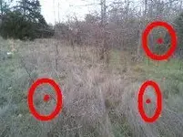 pic2.webp