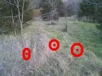 pic3.webp