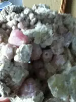 image-1335502096.webp