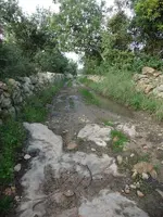 hhjñ 001.webp hhjñ 001.webp
