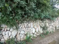 hhjñ 004.webp hhjñ 004.webp