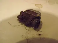 DSCF1416.webp