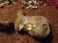 DSCF1386.webp
