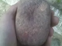 IMAG0028.webp