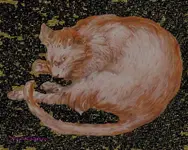 111-2 the catnapper.webp 111-2 the catnapper.webp
