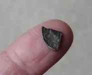 cut quarter.webp
