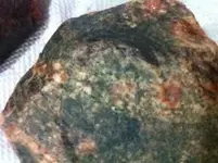 rocks2.webp