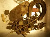 DEC 22nd 3 copper day  90 on the year 010.webp