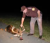 12pointer.webp 12pointer.webp
