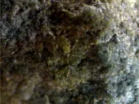 Still0036.webp
