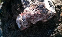 IMAG0093.webp