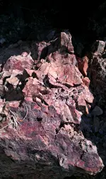 IMAG0117.webp