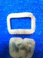 buckle 3.webp