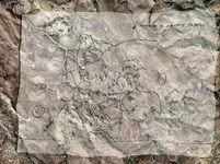 Virgil Bowmen map verification.webp