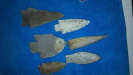 Resampled_2012-12-31_08-45-54_8401.webp