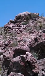 IMAG0182.webp