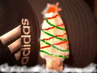 whthgcas.webp